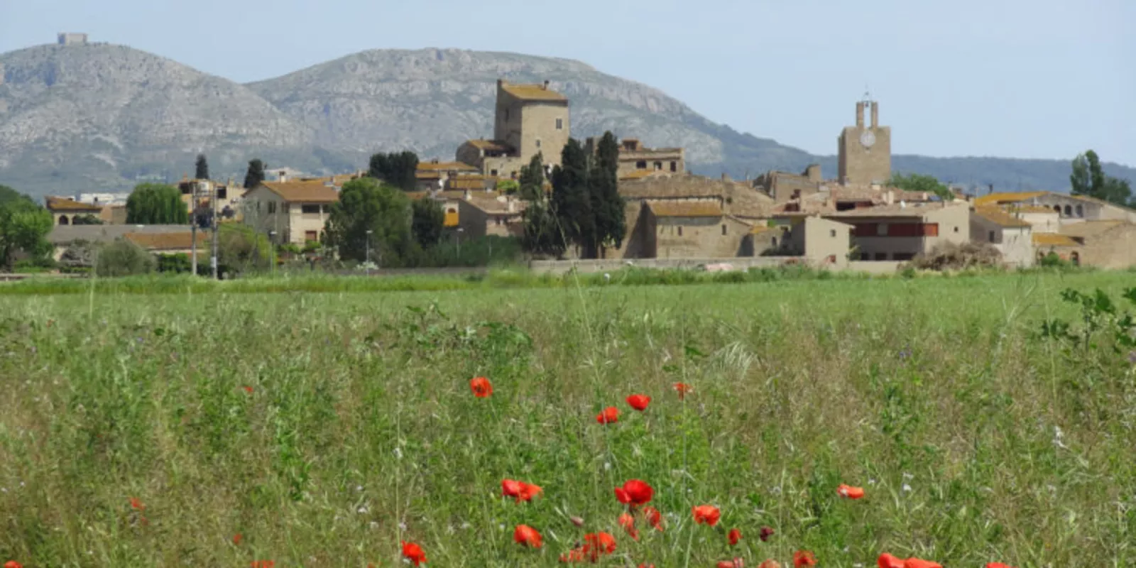 Mercado inmobiliario en Girona: tendencias y casos